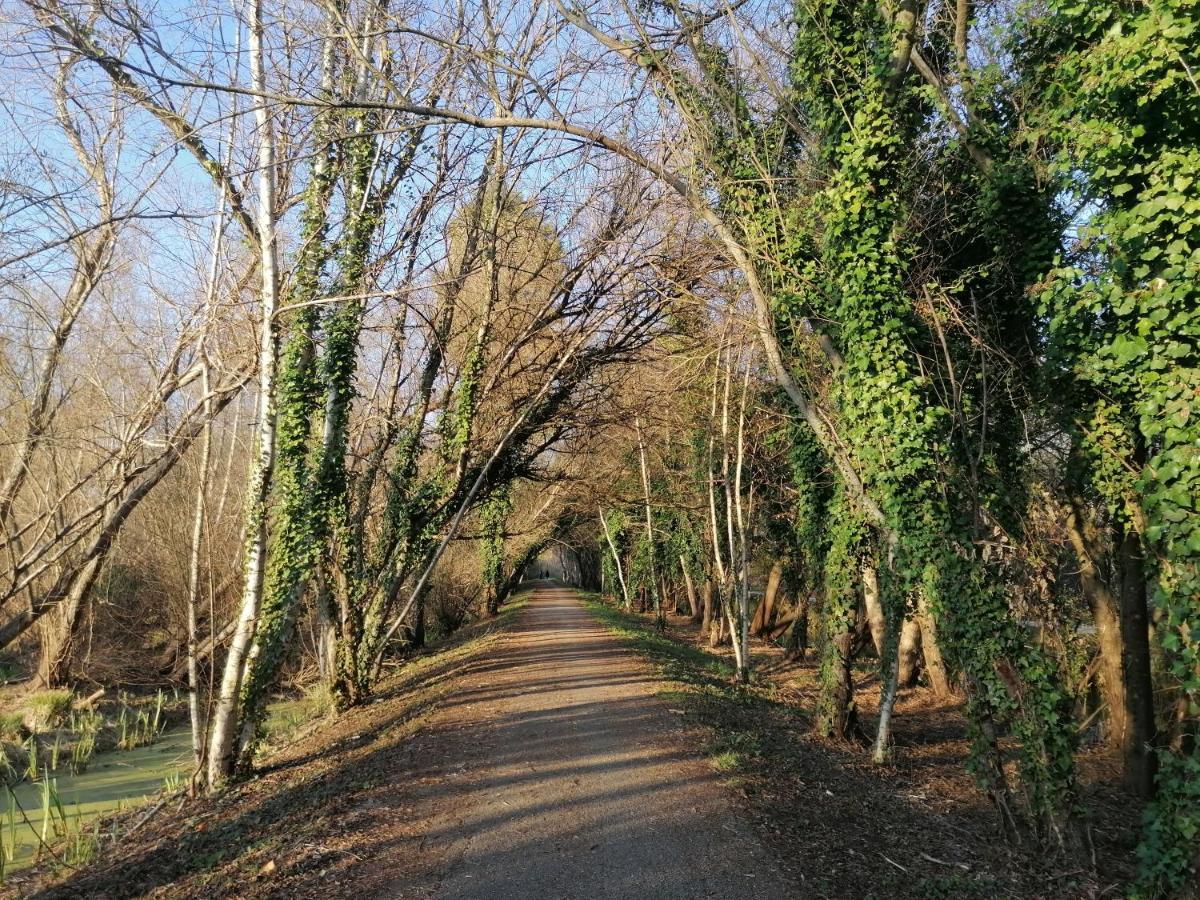 פראיה דה מירה Barrinha_Village מראה חיצוני תמונה